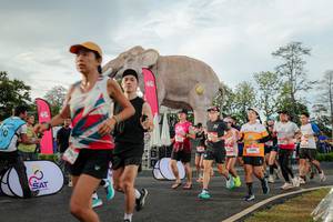 BIB: 
                            <button type="button" onclick="openModal(26528321)" class="btn btn-primary btn-sm float-right btn-popup" data-toggle="modal" data-target=".modal-high-quality">
                        <i class="fas fa-shopping-cart"></i> Add to Cart
                    </button>
                                            <button type="button" onclick="isThisMe(26528321, true)" class="btn btn-success btn-sm float-right btn-popup btn-isme hidden" data-toggle="tooltip" data-placement="bottom" title="นี่คือรูปของคุณใช่ไหม คลิกที่นี่เพื่อเอาเข้าอัลบั้ม">
                        <i class="fas fa-plus"></i> Add to album
                    </button>
                    <button type="button" onclick="isThisMe(26528321, false)" class="btn btn-warning btn-sm float-right btn-popup btn-isnotme hidden">
                        <i class="fas fa-ban"></i> Remove from album
                    </button>